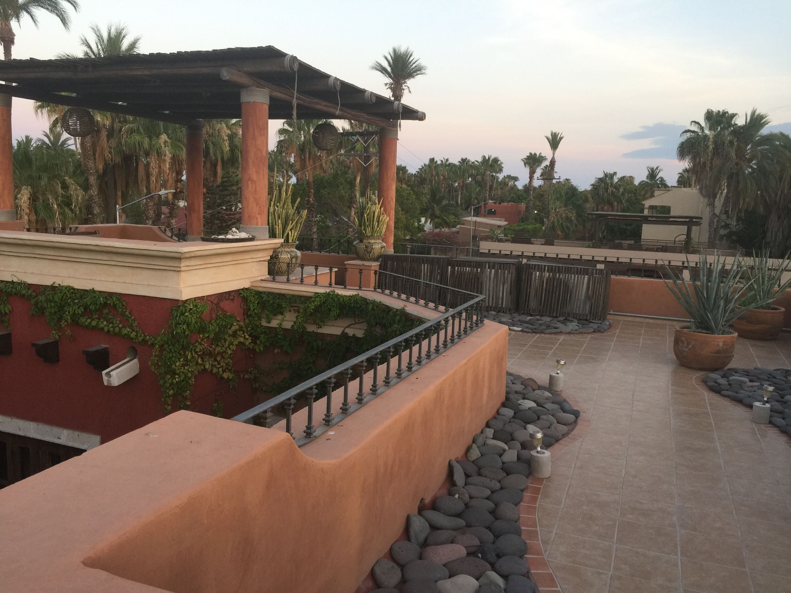 Une terrasse sur le toit agrémentée d’une pergola, de plantes en pot et d’un chemin en pierre.