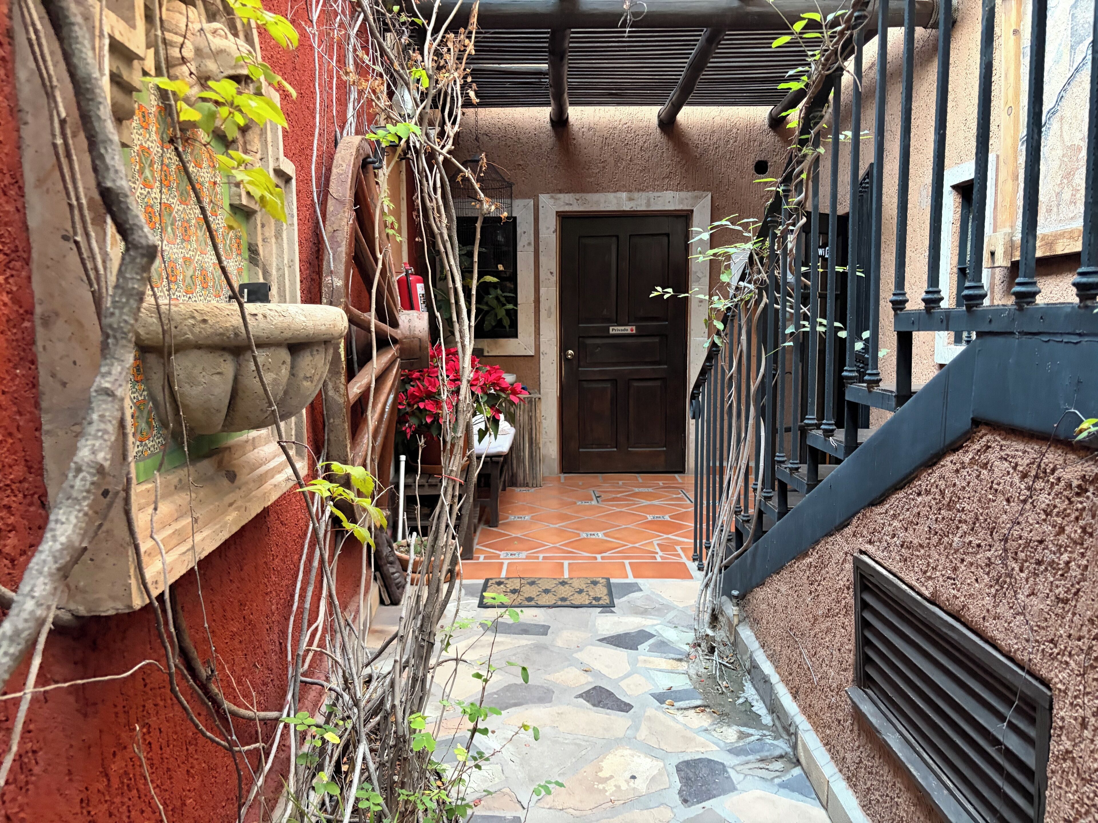 Terrasse/patio