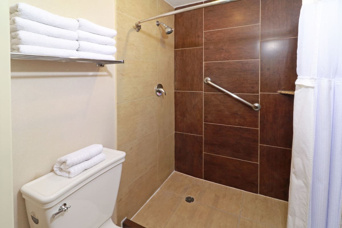 A shower area with a toilet, a shelf with folded towels, and a grab bar.