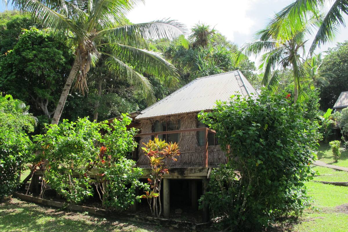 A rustic house surrounded by lush greenery and palm trees.