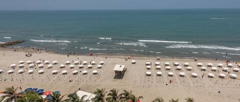 Una spiaggia con file di ombrelloni e sdraio, palme e l'oceano.