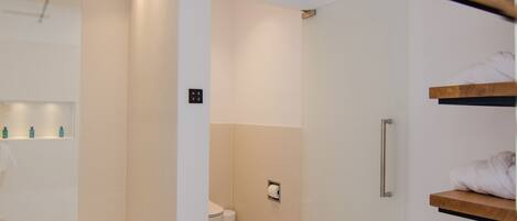 A modern bathroom with a walk-in shower, a toilet, and a sink area.