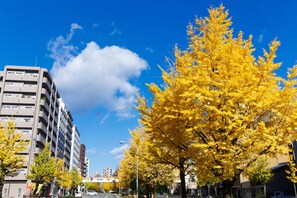 Exterior - Kyoto City Hotel (Kyoto)