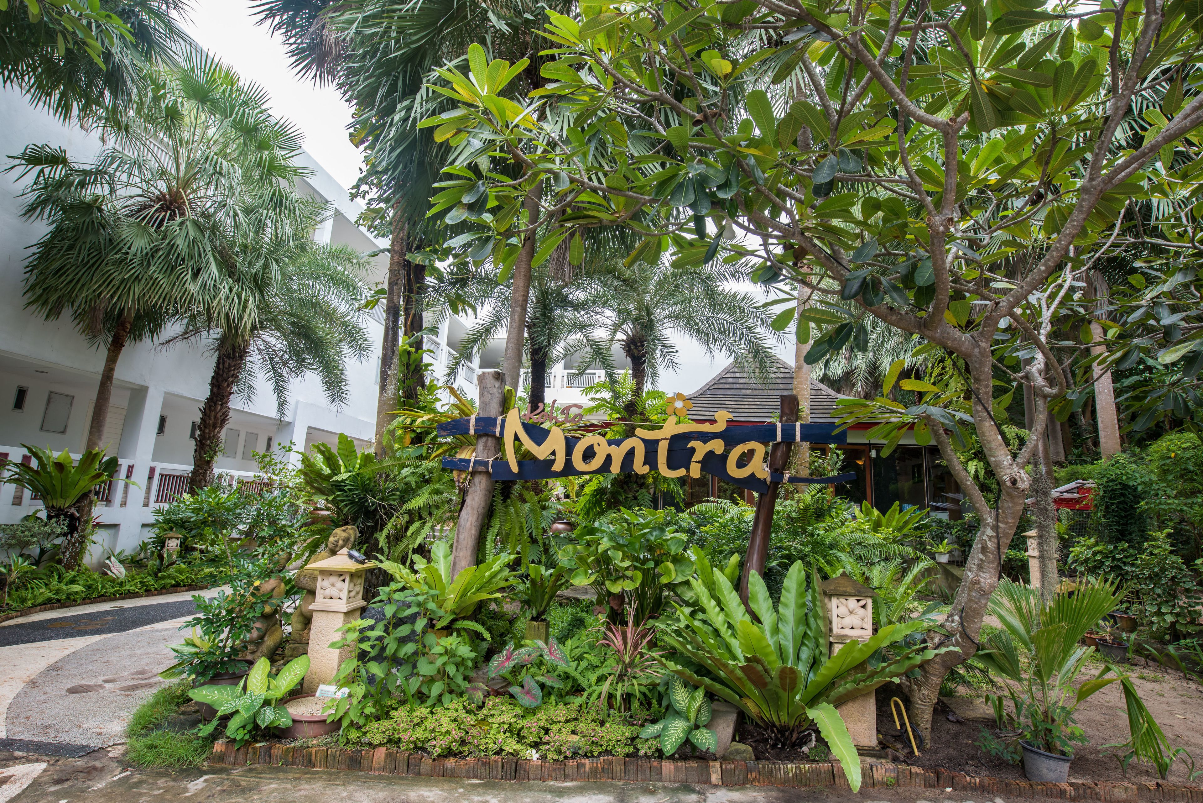 Un jardín exuberante con un letrero que dice "Montra".