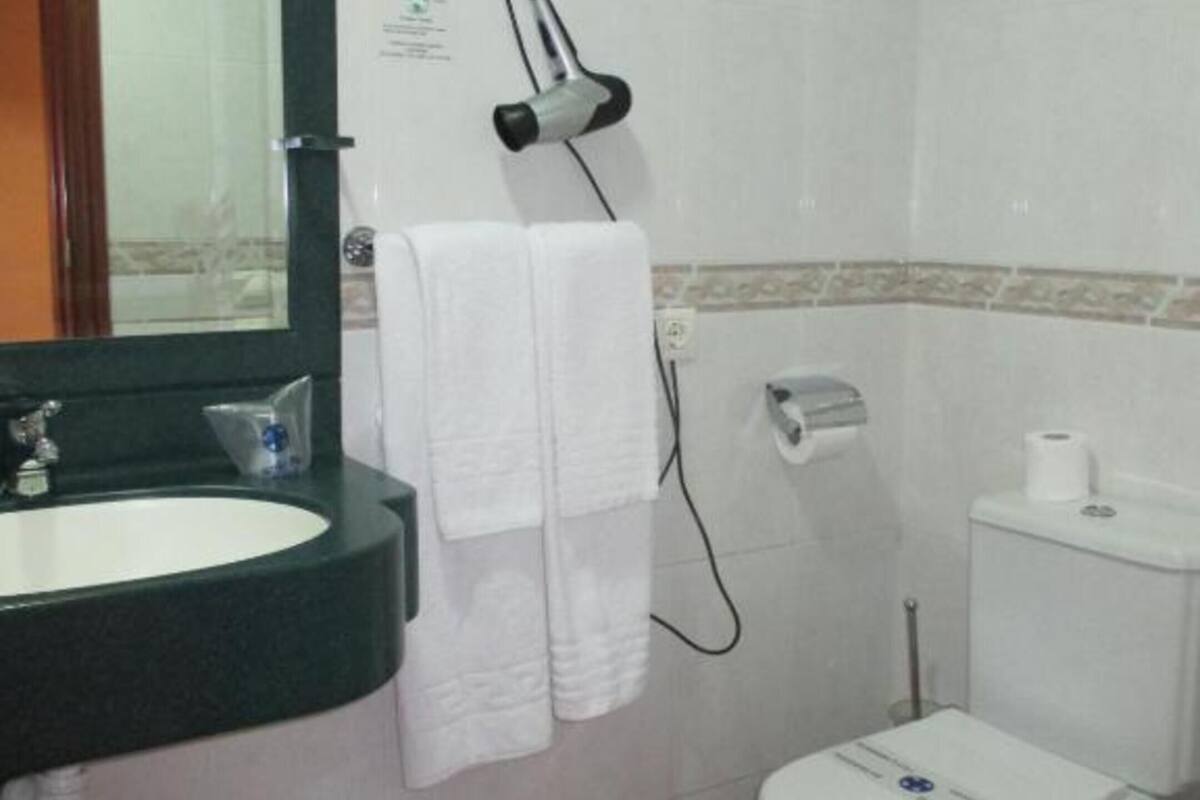 hair dryer, bidet, towels