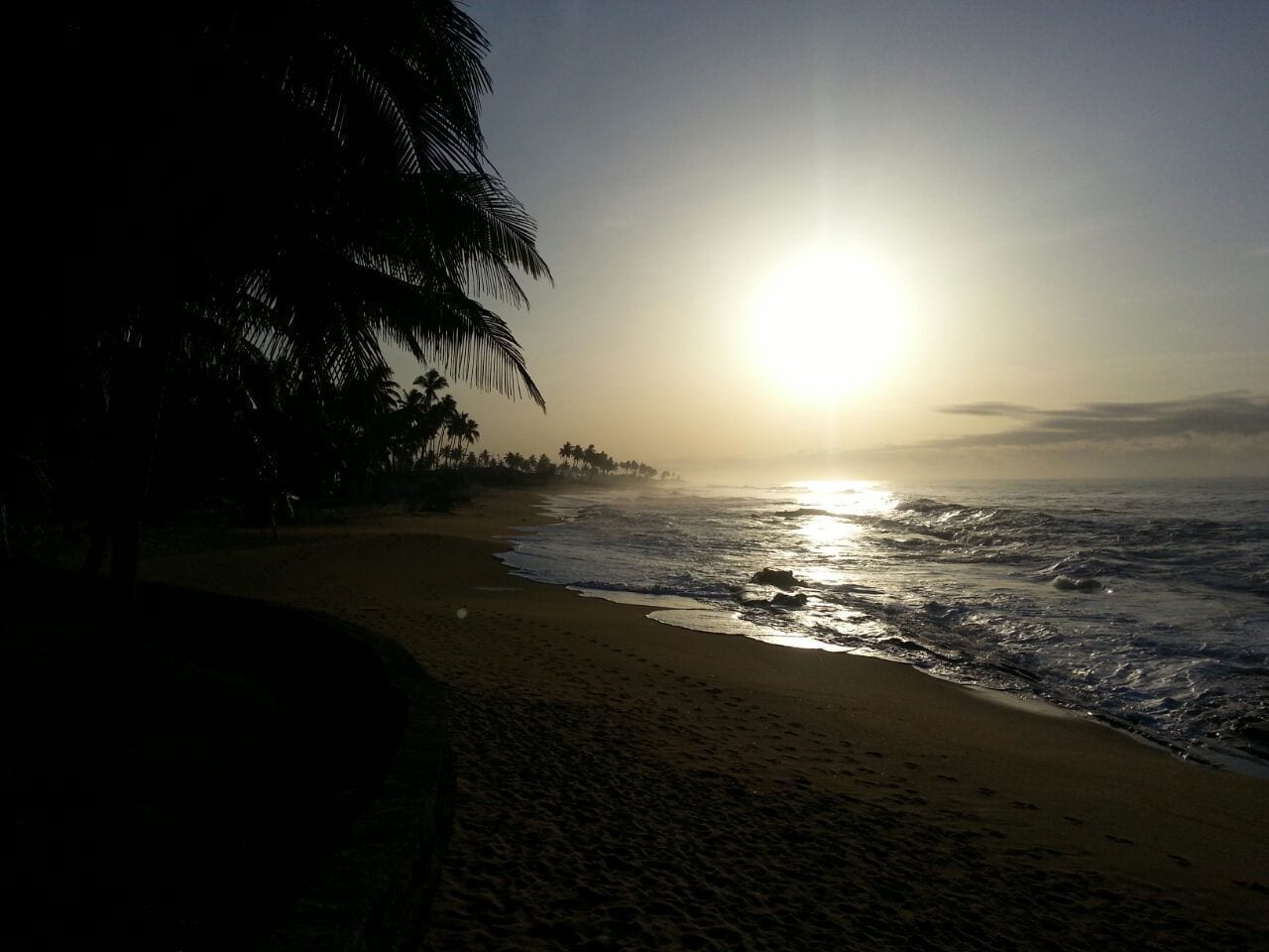 A beach with the sun setting over the ocean, palm trees, and a sandy shore.