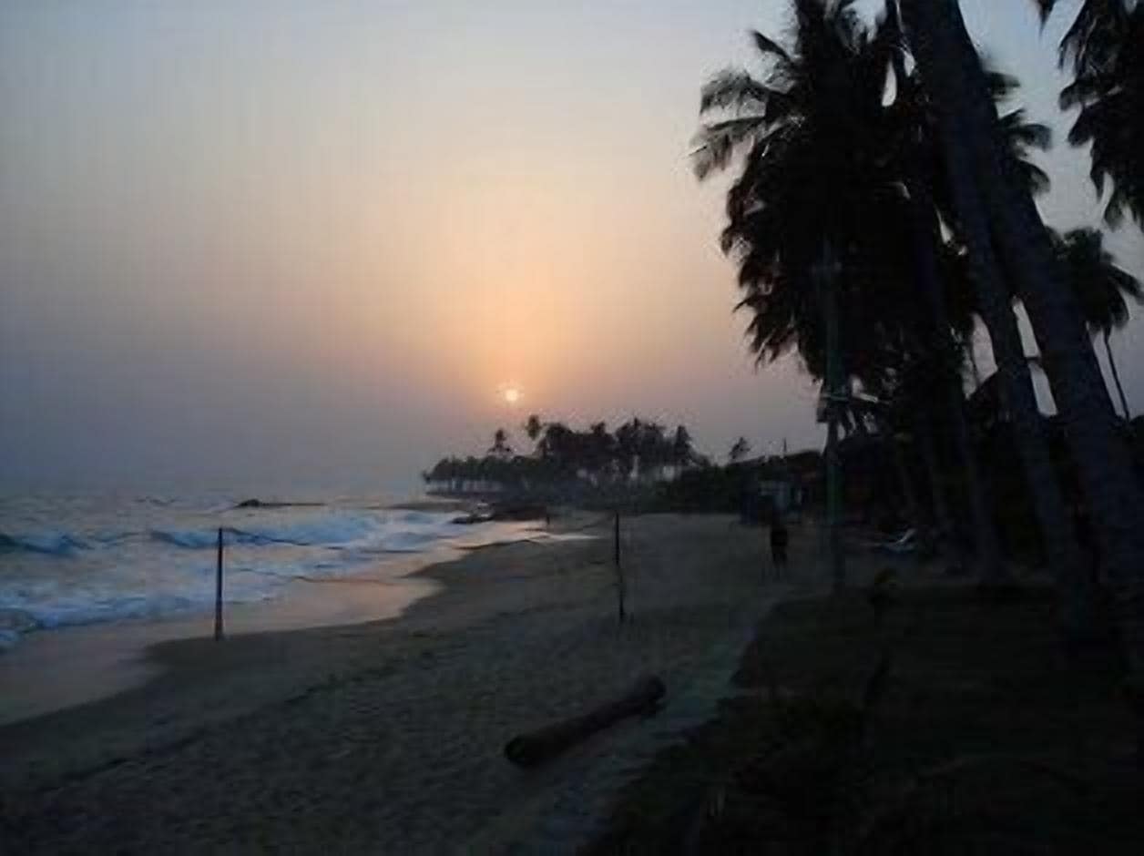 Une plage bordée de palmiers, avec un coucher de soleil.