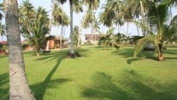 A grassy area with palm trees and a building in the background.