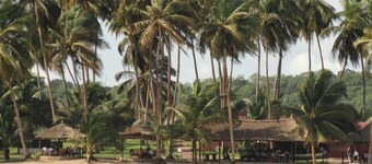 椰林海灘度假飯店