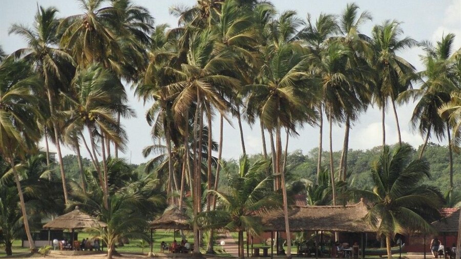 Coconut Grove Beach Resort