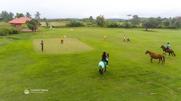 Sports facility