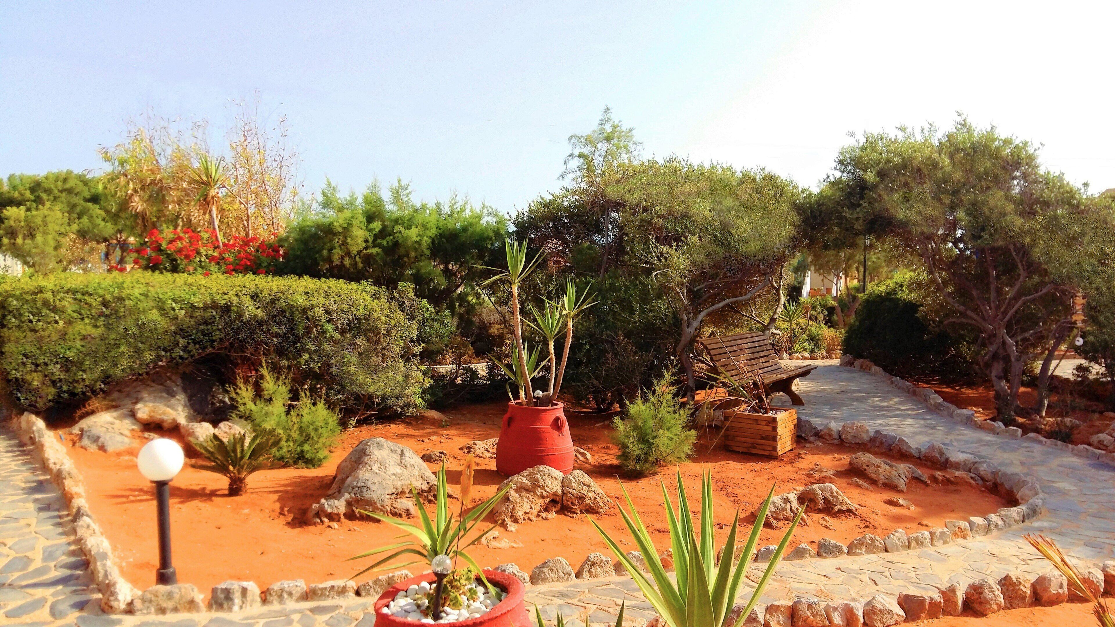Un giardino curato con vialetto lastricato, piante in vaso e una panchina in legno.