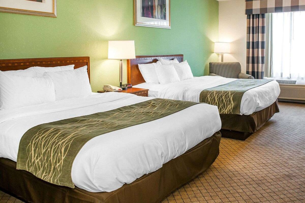 A hotel room with two beds, a green wall, a framed picture, a window with curtains, and a bedside lamp.