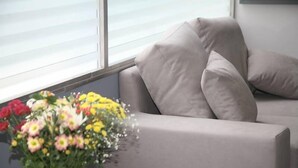 A modern living room with a grey sofa and a vase of colorful flowers on a table. - Hotel Des Roses (Kifisia)
