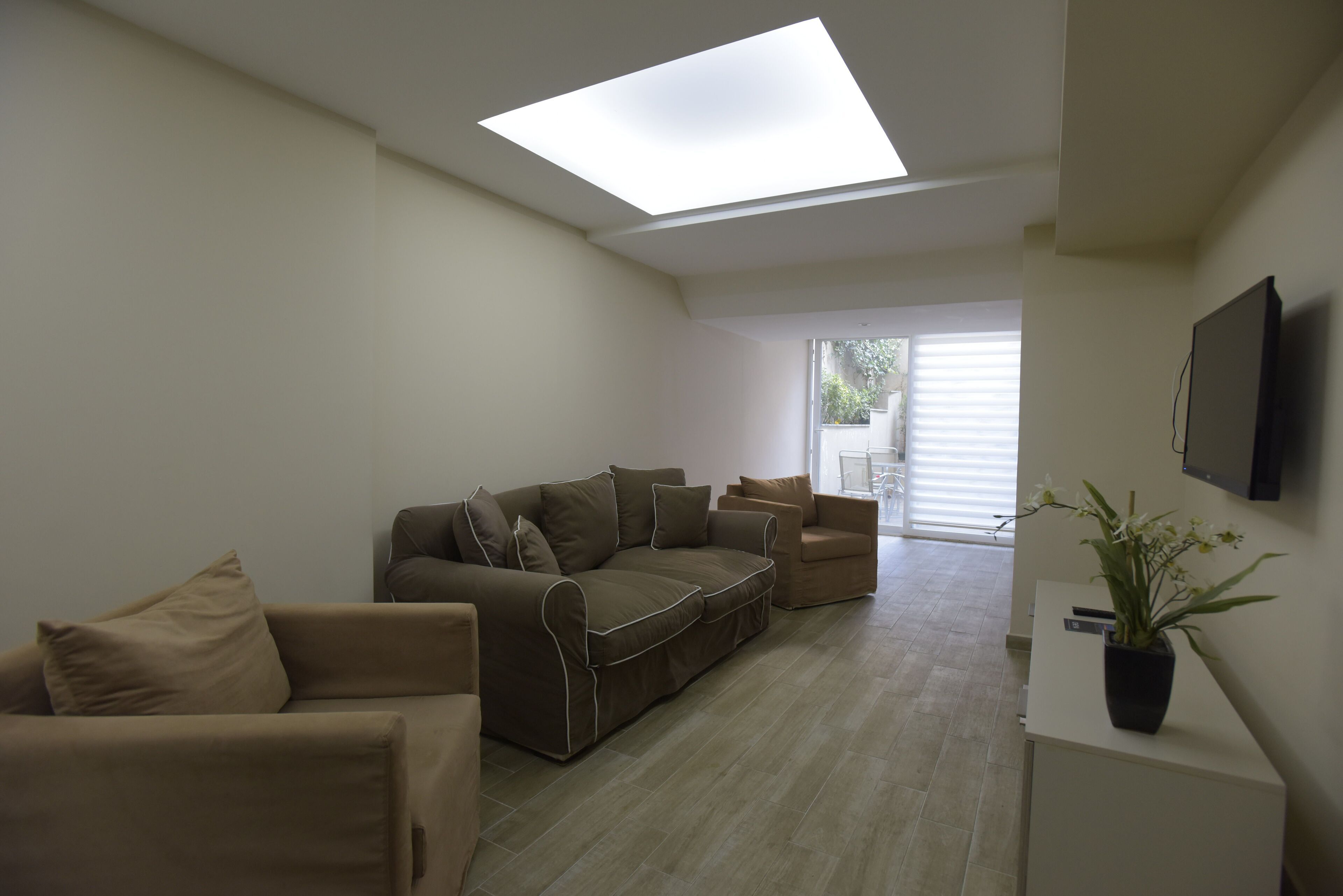 A modern living room with a sectional sofa, a smaller armchair, and a potted plant.