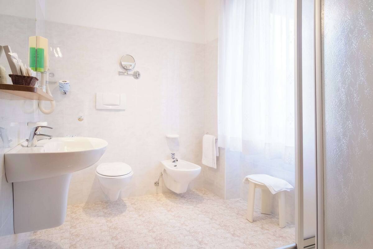 shower, free toiletries, hair dryer, bidet