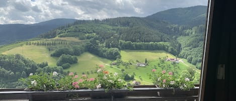 In-room safe, blackout drapes, soundproofing, free WiFi