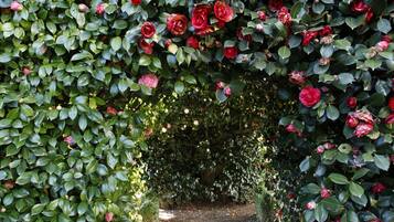 Un sendero rodeado de follaje denso y flores rojas en flor.