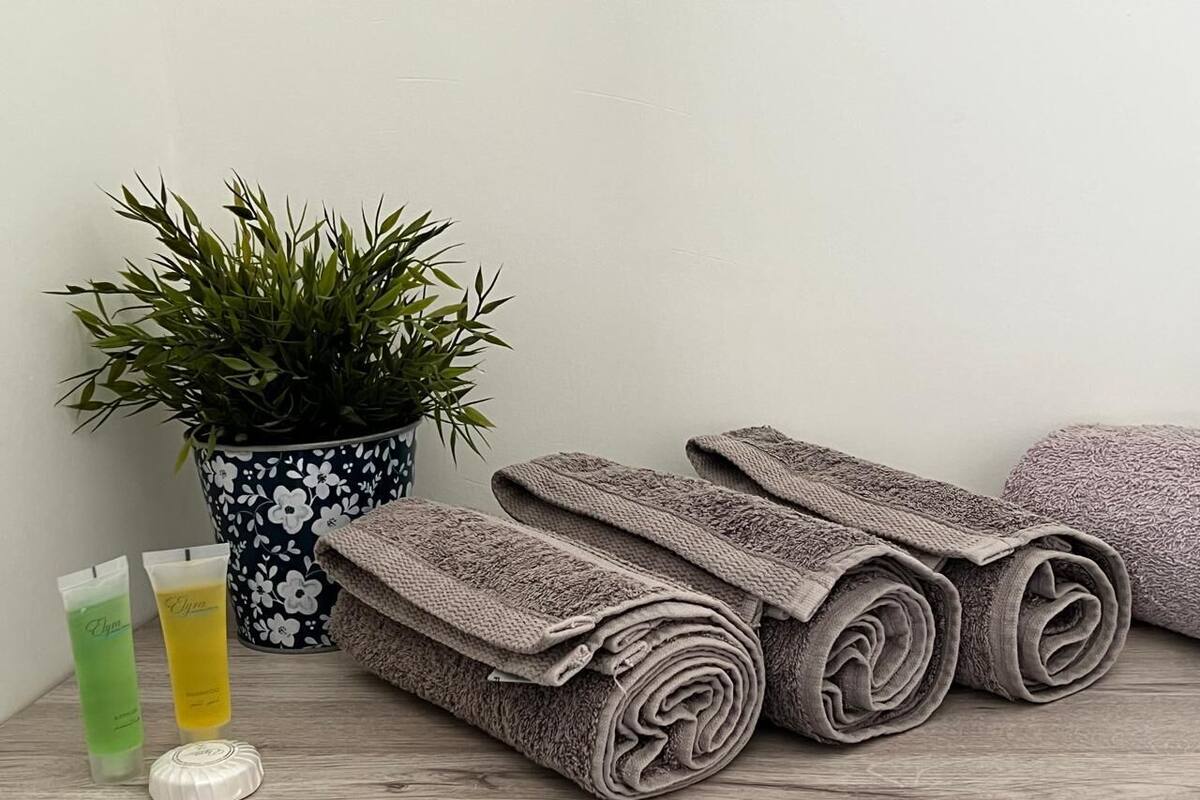 A wooden shelf with rolled towels, a potted plant, and two toiletry bottles.