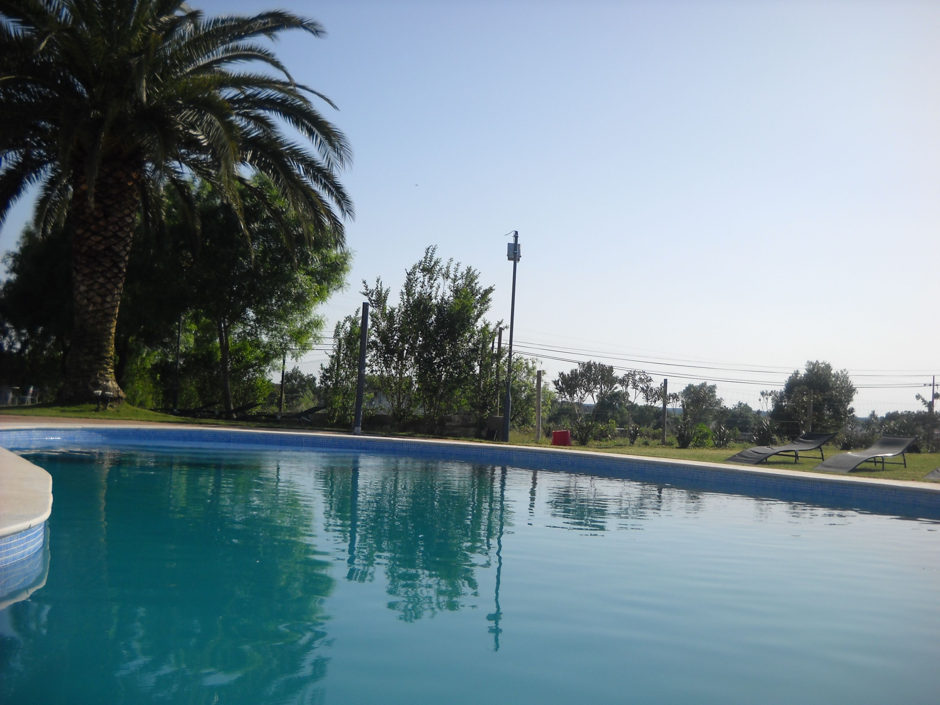 outdoor pool, pool loungers