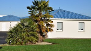 Un edificio con fachada blanca y tejas azules, una palmera en primer plano y un cielo azul despejado.