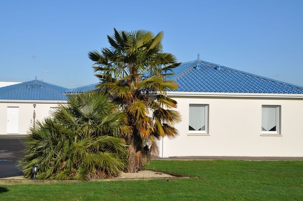A building with a white exterior and blue roof tiles, a palm tree in the foreground, and a clear blue sky.