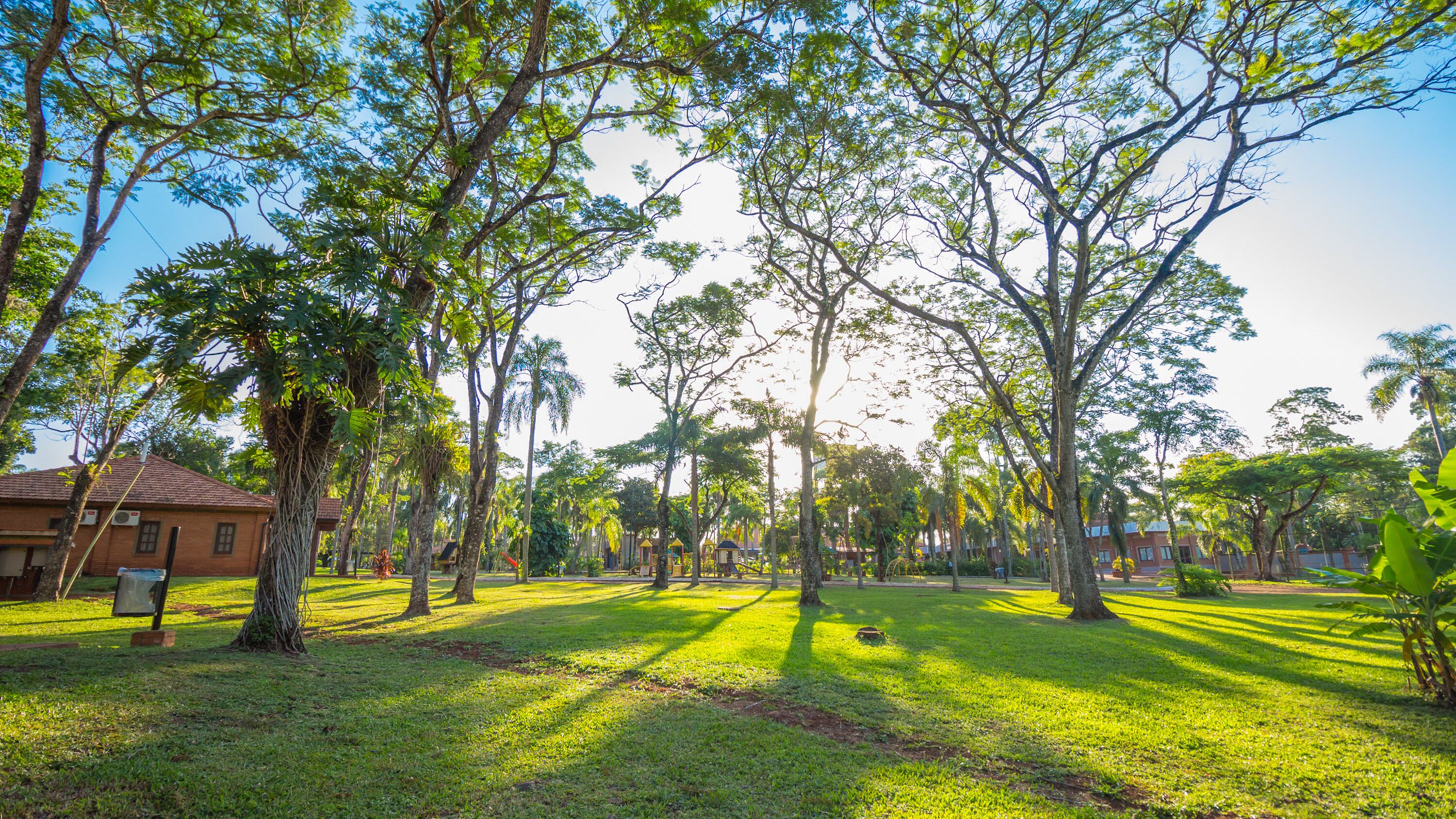 Foto - Complejo Americano