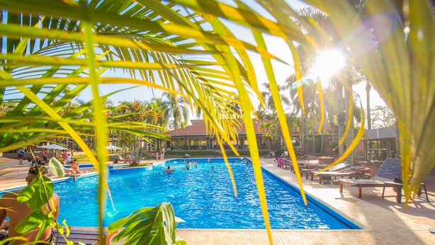 Una piscina rodeada de palmeras y sillas de descanso, con gente nadando y relajándose.