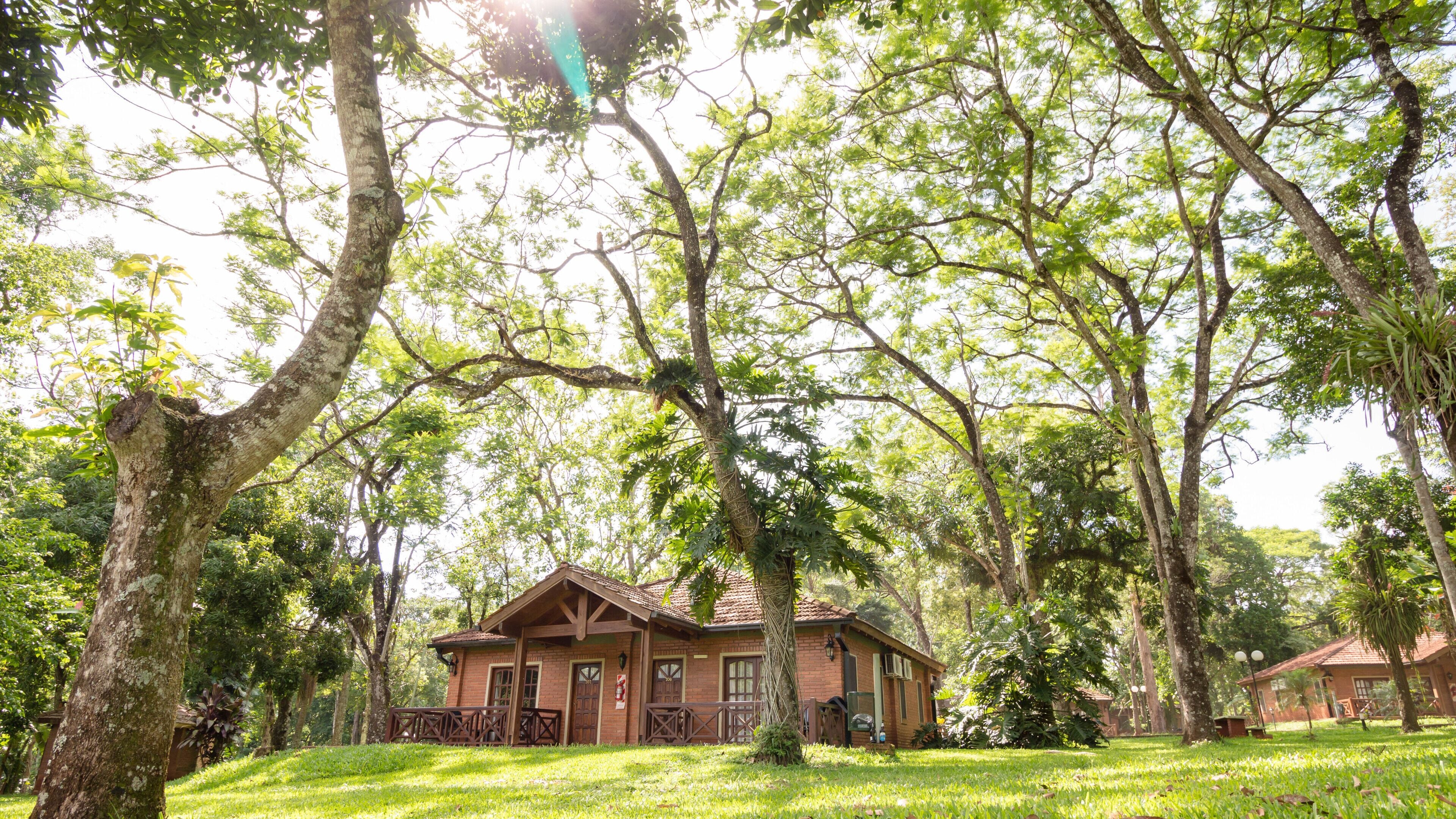 A rustic wooden house surrounded by lush greenery and trees.