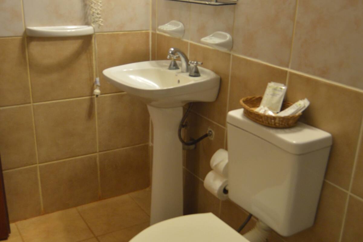 shower, bidet, towels