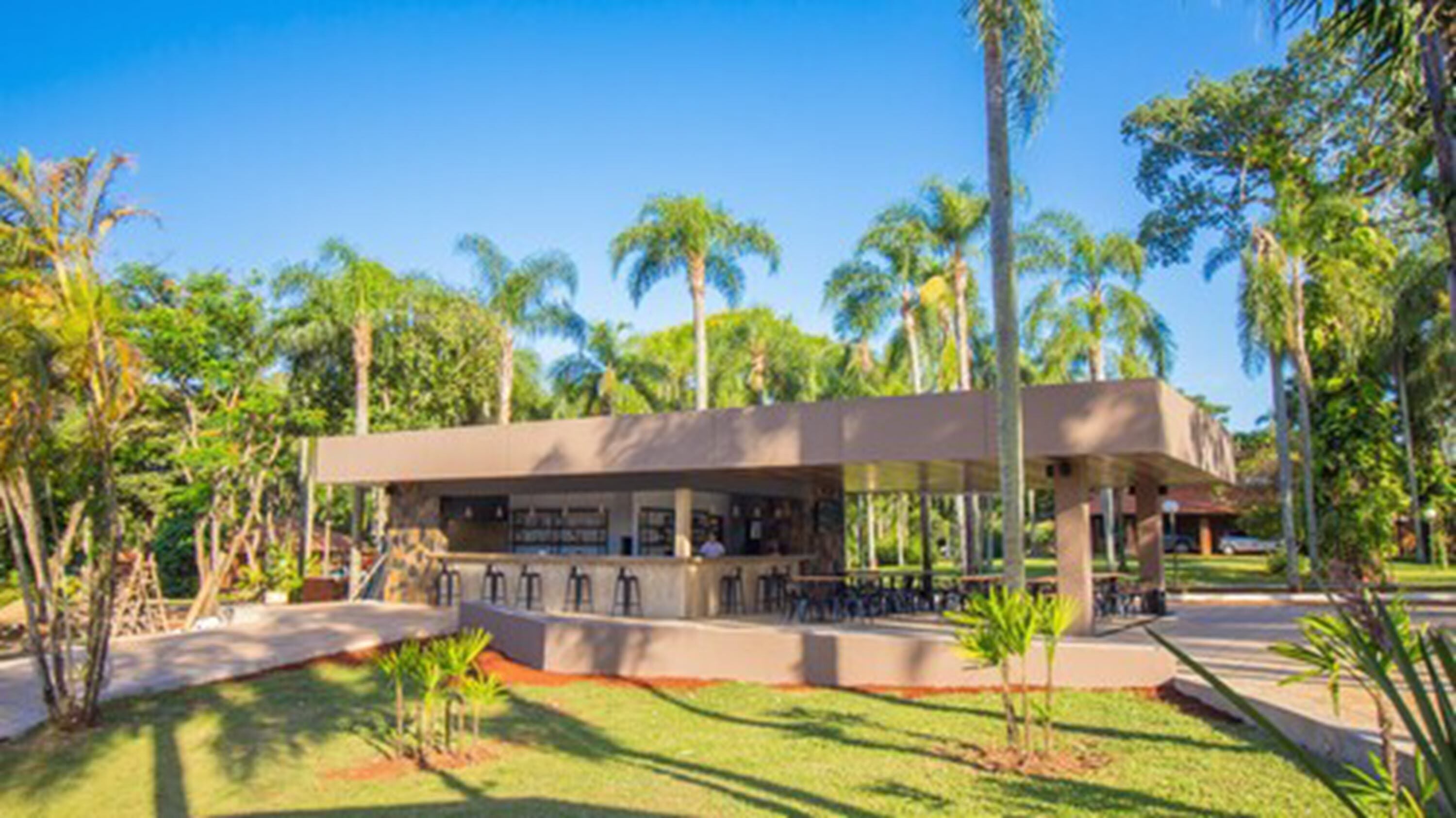 Un café moderno al aire libre con techo plano, rodeado de palmeras y follaje.