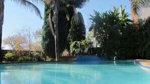 A clear blue pool surrounded by lush greenery and palm trees. - Aero Guest Lodge (Kempton Park)