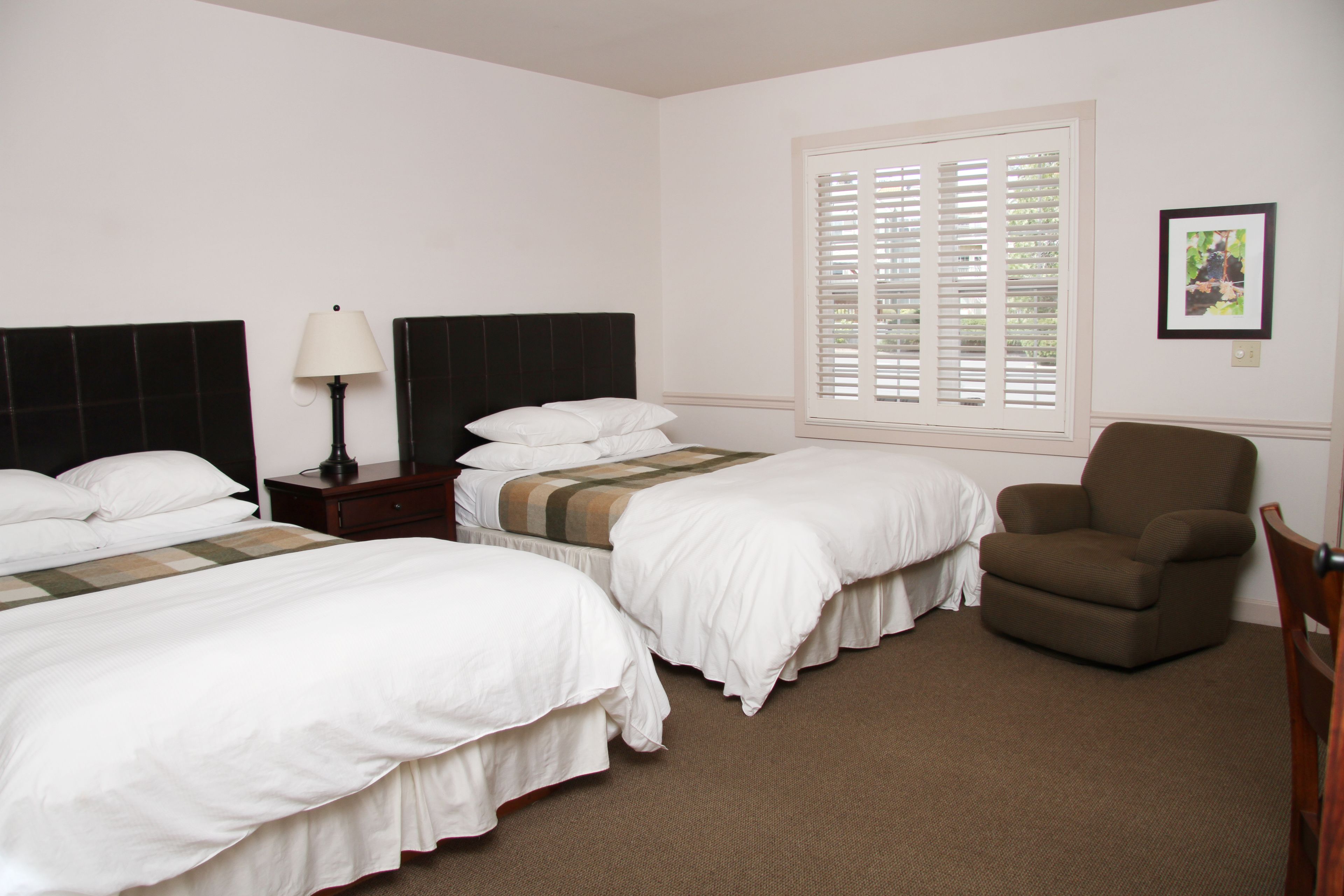wine country inn standard double queen room | pillow-top beds, desk, laptop workspace, iron/ironing board