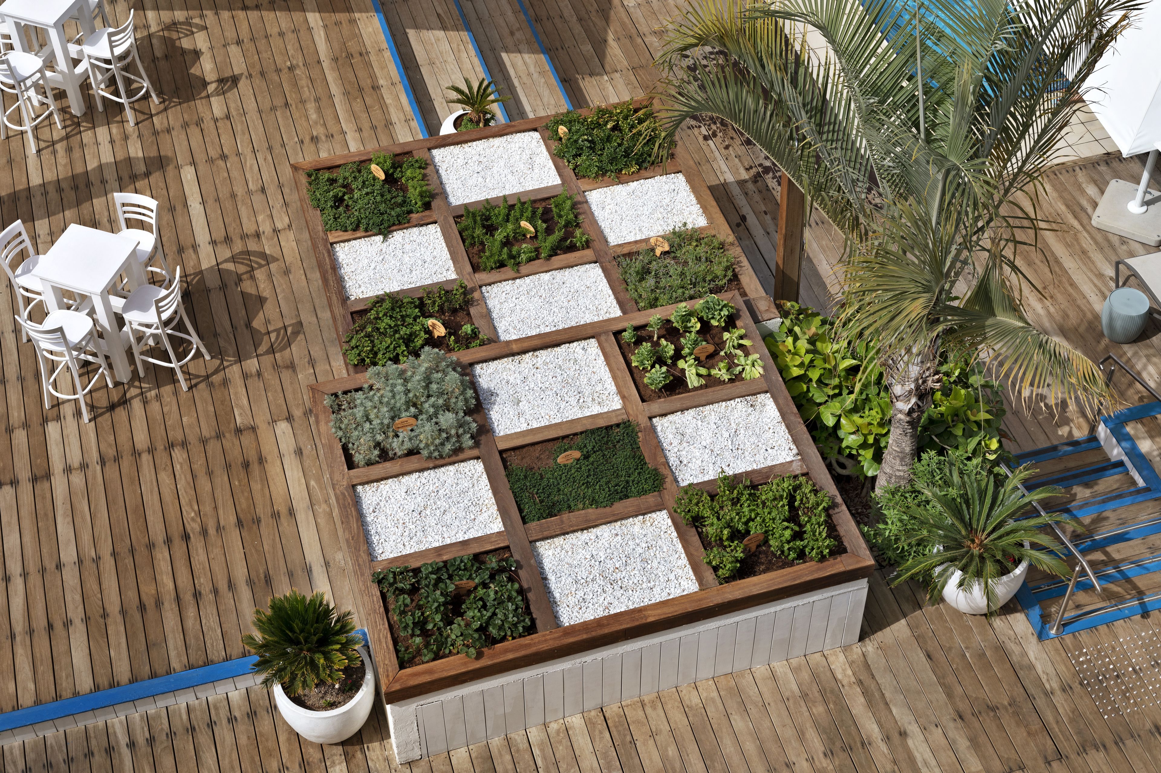 Foto - Herbert Samuel The Reef Eilat