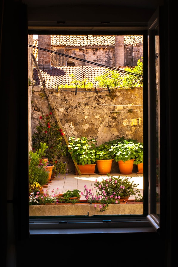 Double Room | View from room
