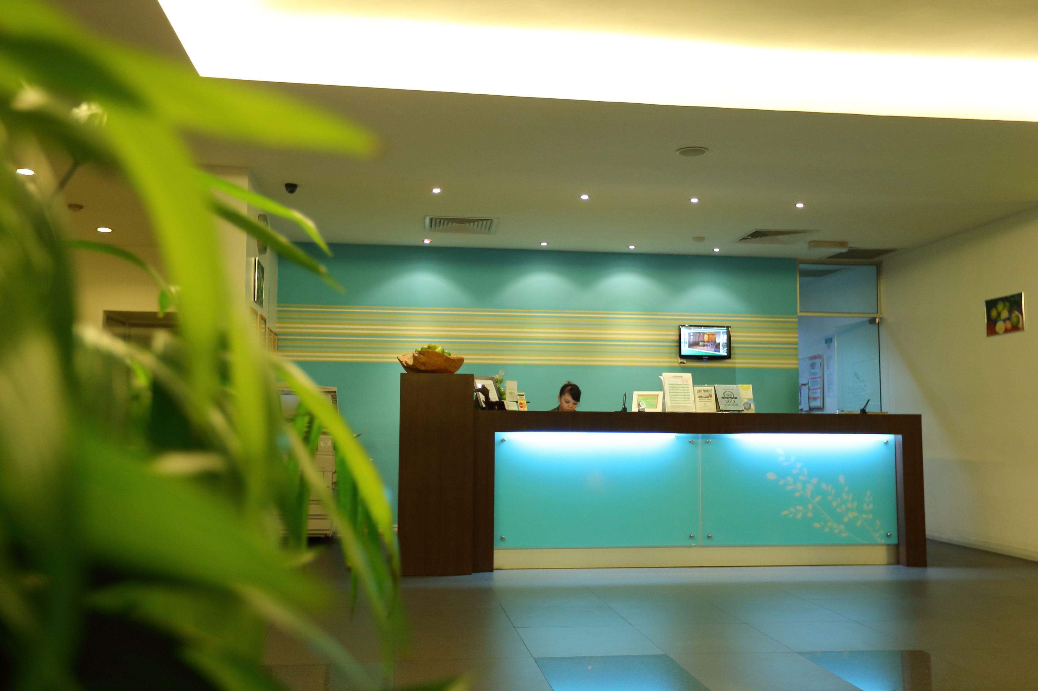 A reception desk with a blue backdrop, a television mounted above it, and a plant in the foreground.
