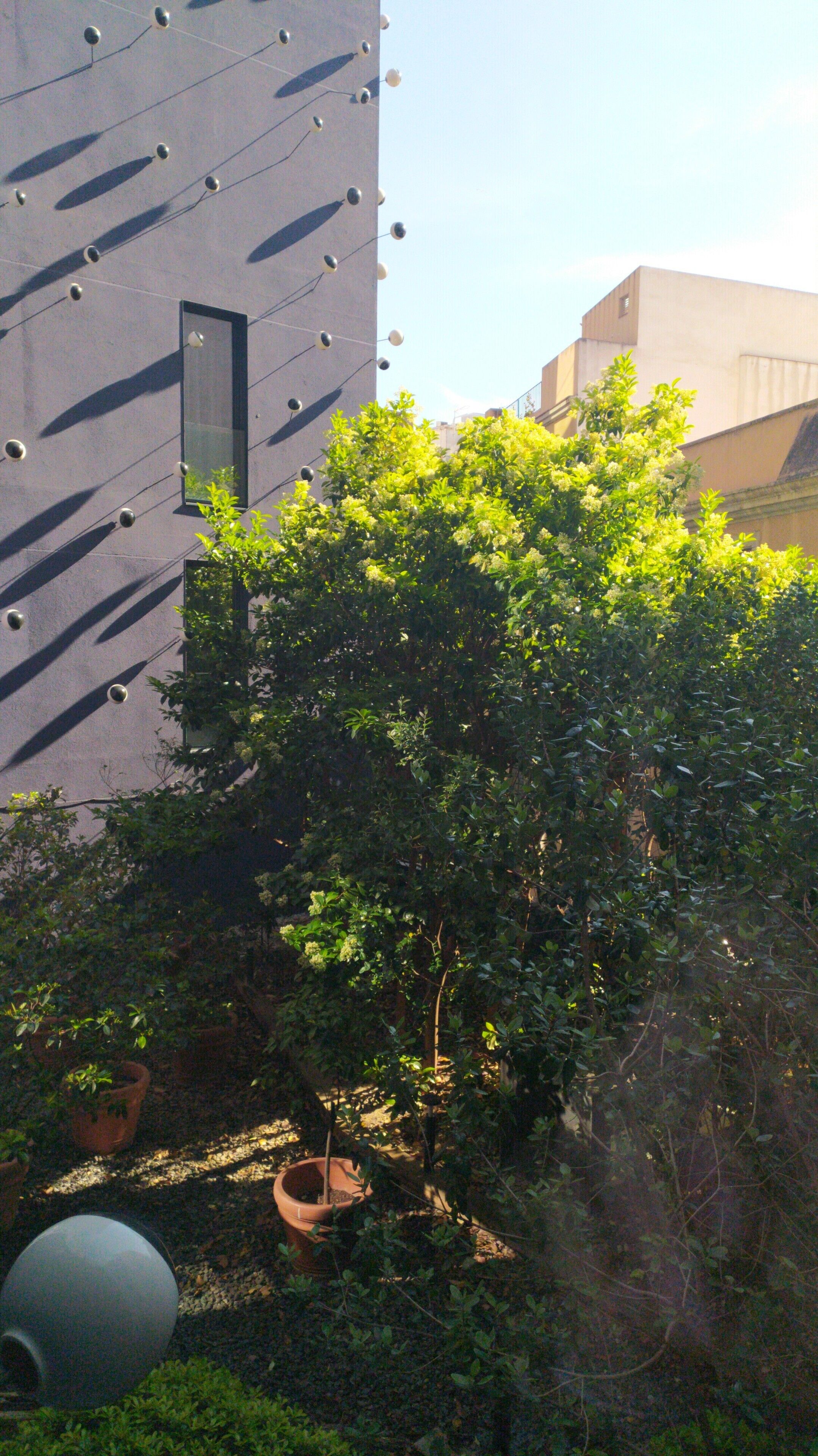 standard room | view from room