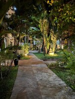 Un sendero bordeado por exuberante vegetación y palmeras, que conduce hacia un edificio.