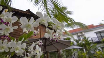 Piscine extérieure, parasols de plage