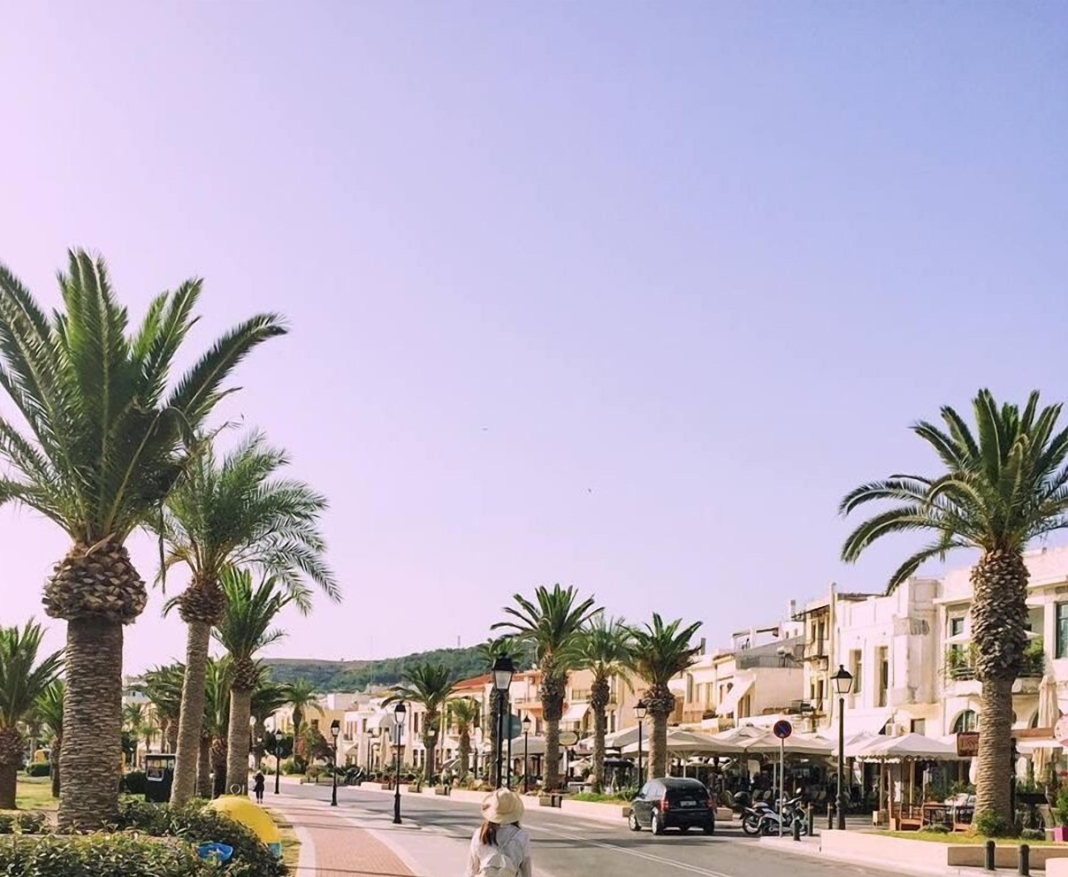 A street lined with palm trees and buildings, with a clear sky.