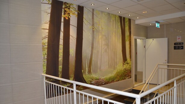 Una escalera con barandal blanco, una pared con un mural de bosque y un letrero de salida de emergencia.