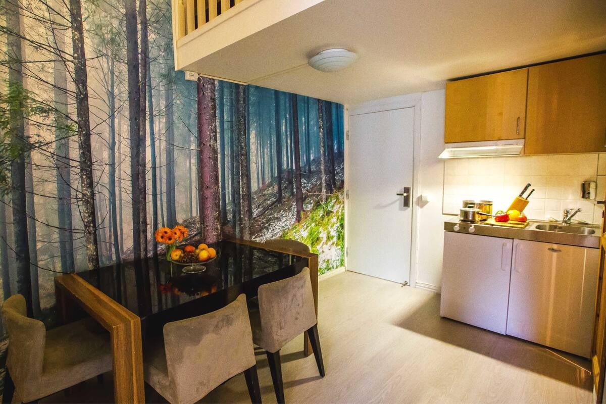 Apartment 4 Adults | Blendingsgardiner, strykejern/-brett og wi-fi (inkludert)