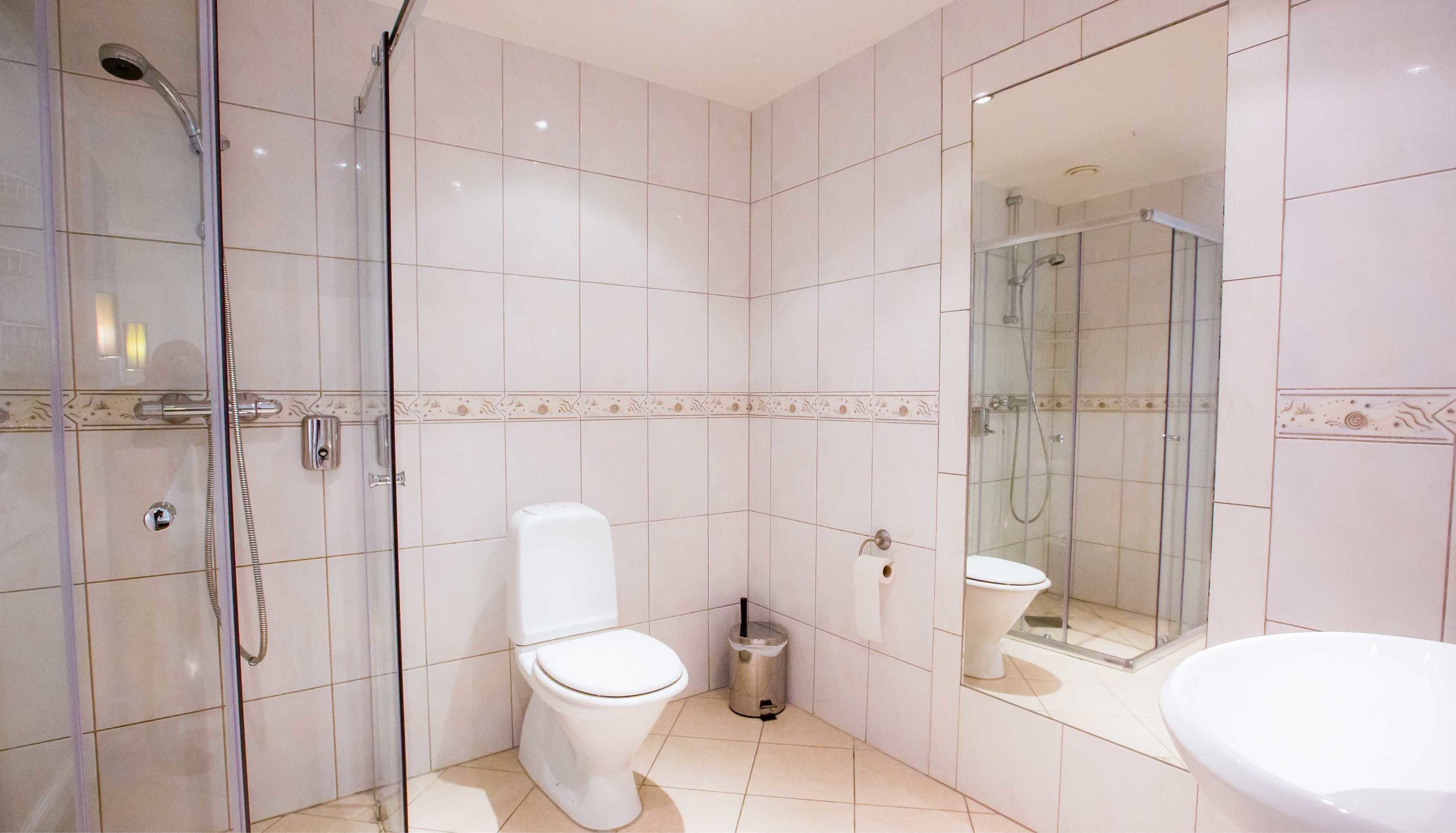 A modern bathroom with a glass-enclosed shower, a toilet, and a large mirror.