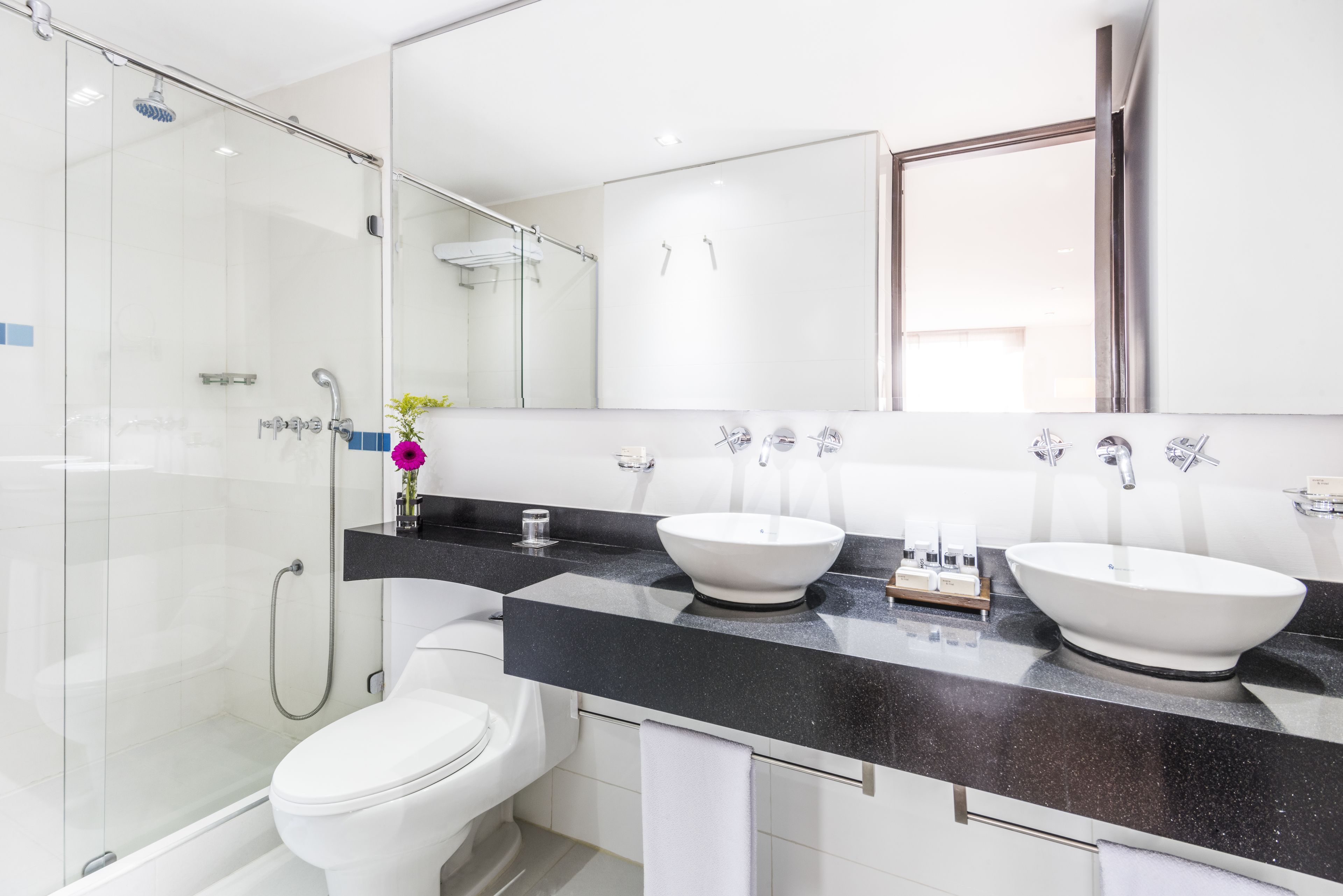 shower, free toiletries, hair dryer, towels