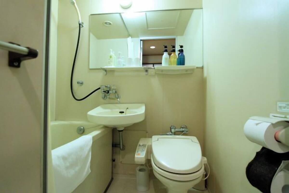 Combined shower/bathtub, free toiletries, hair dryer, slippers