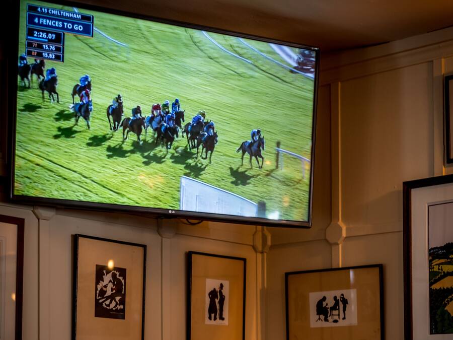 Un televisor mostrando una carrera de caballos, cuadros en la pared y un sofá estampado.