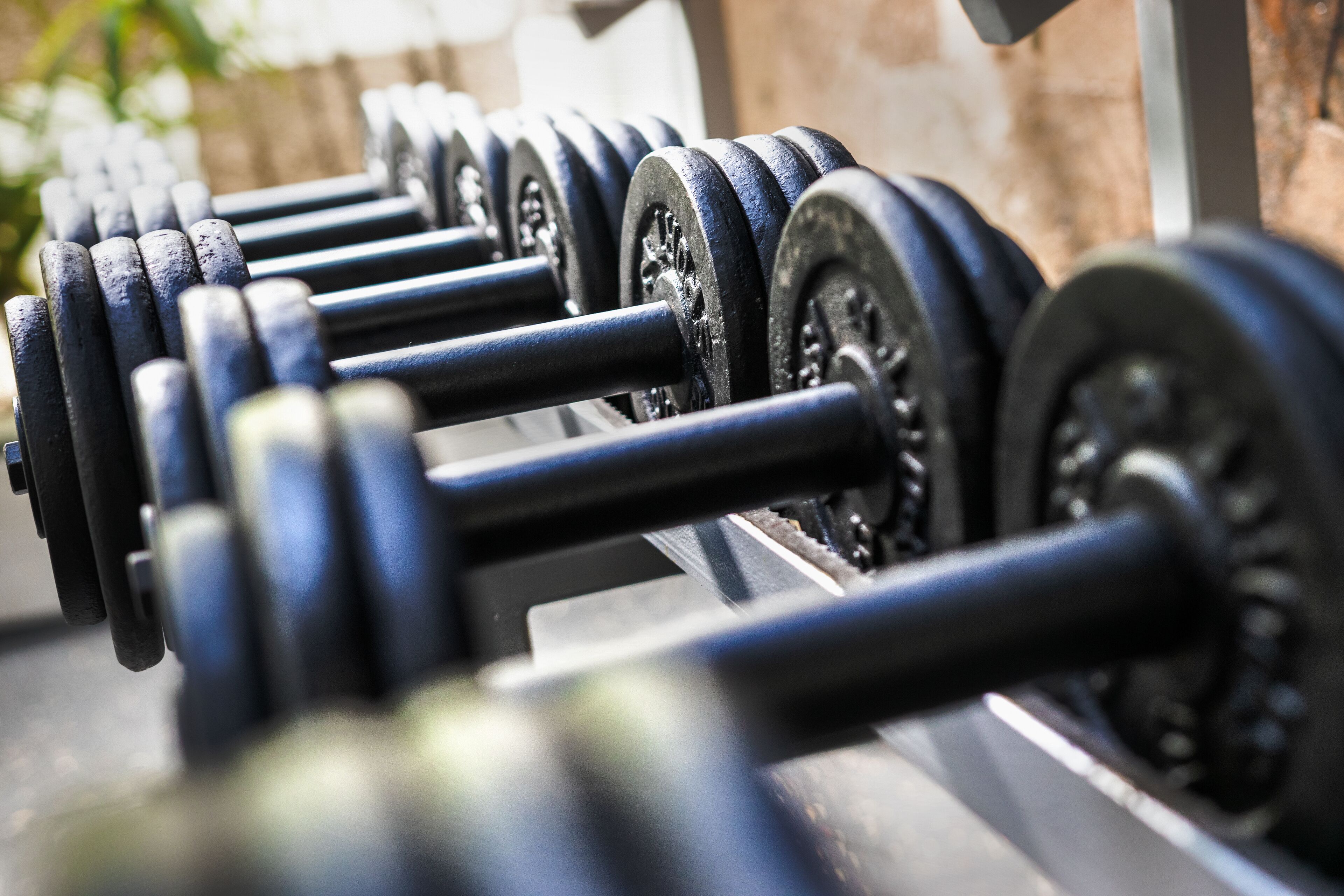 A row of black dumbbells on a rack.