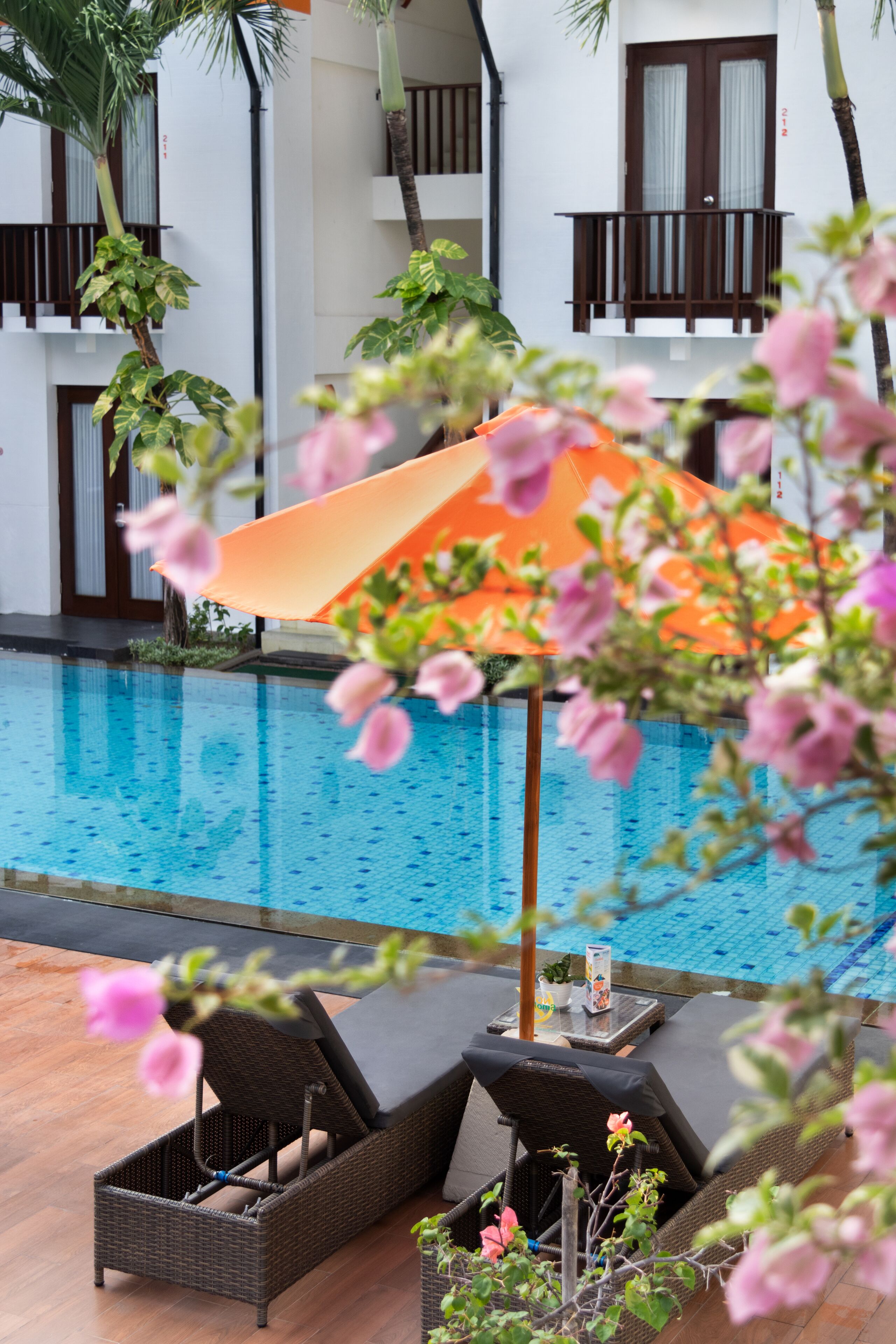 Kolam renang terbuka 