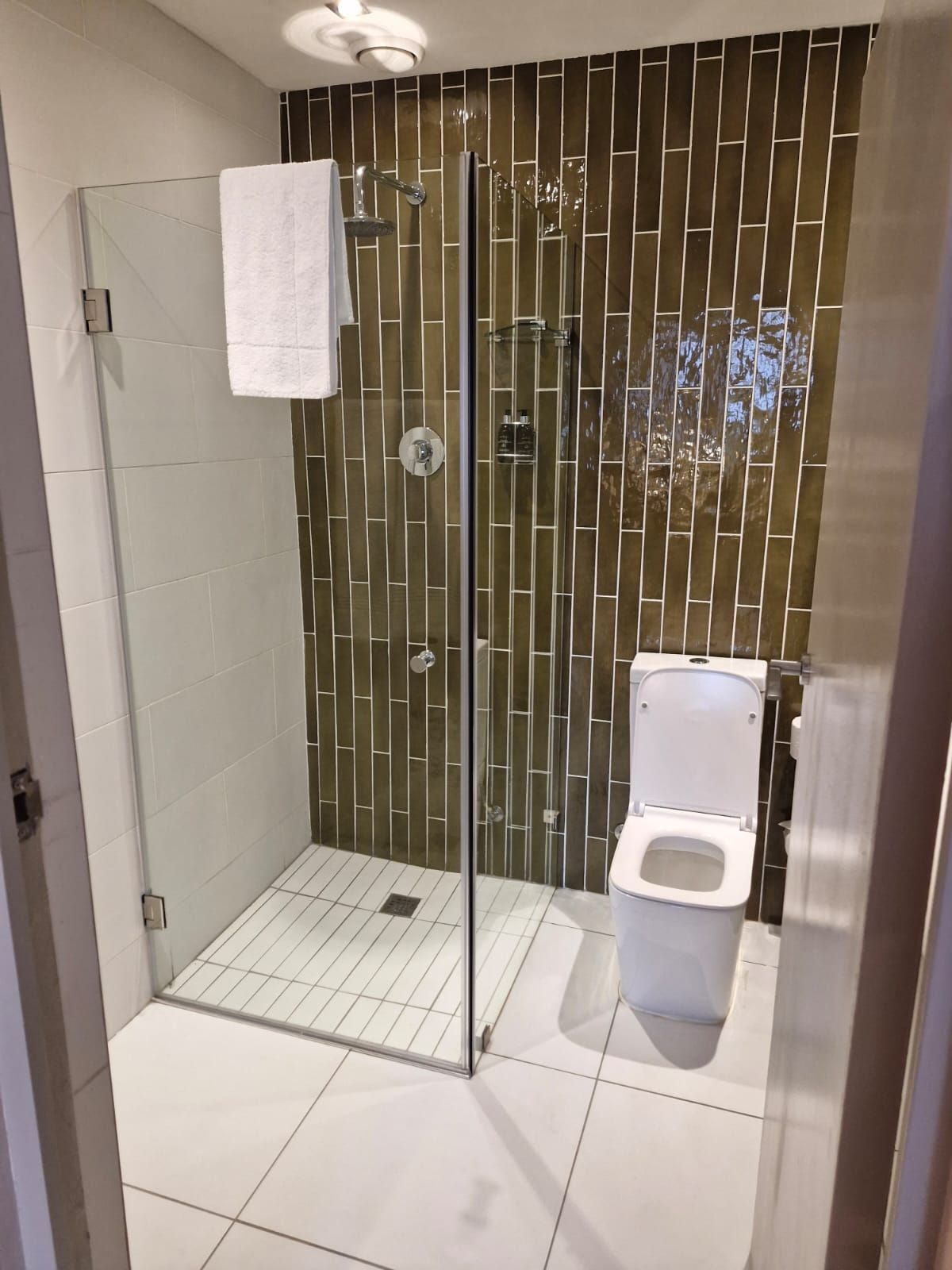 A modern bathroom with a glass-enclosed shower, a white toilet, and a tiled floor.