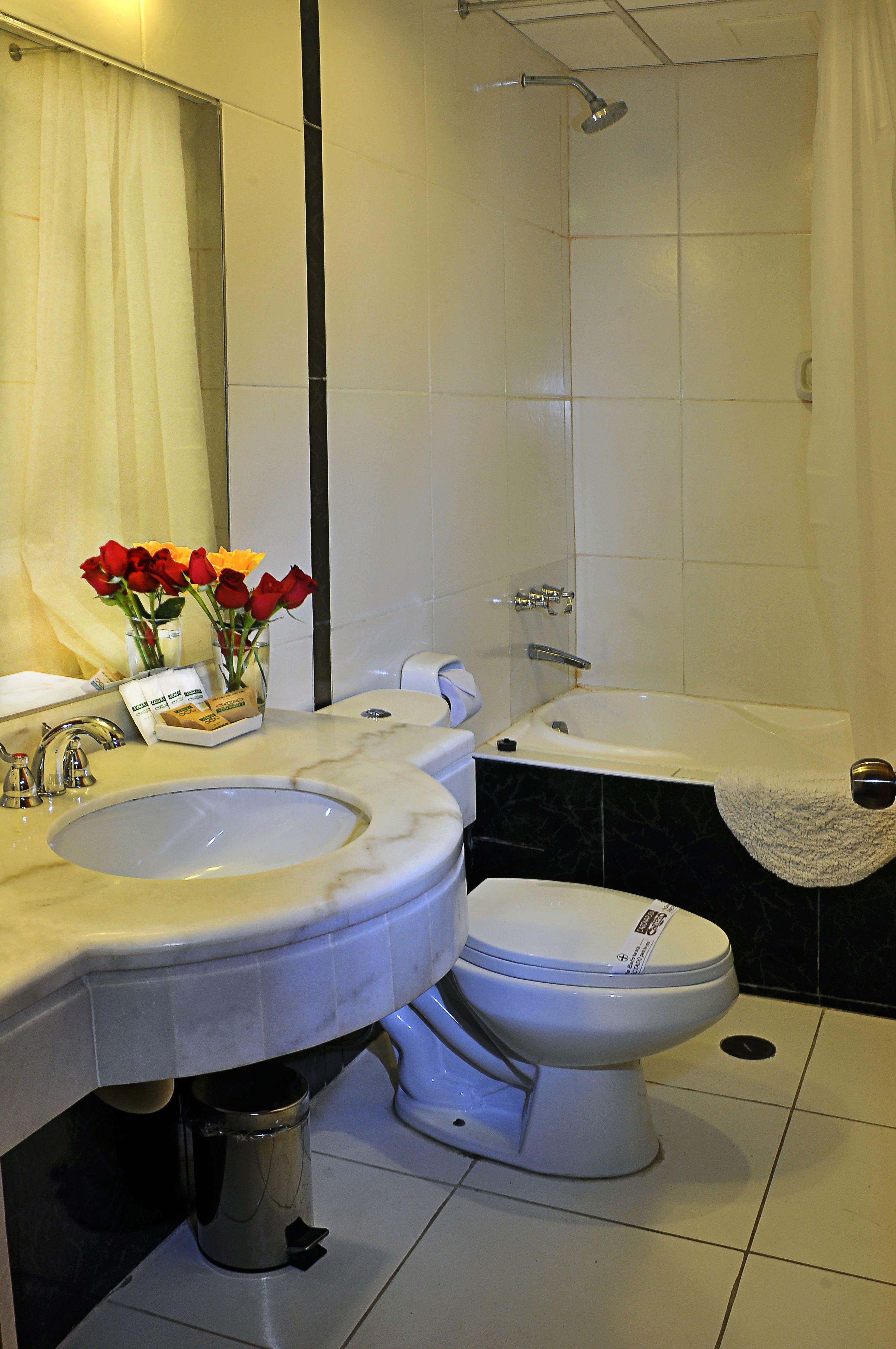 combined shower/bathtub, designer toiletries, hair dryer, towels